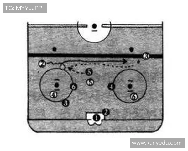 杭州排球队区域防守战术解析与实战应用探讨